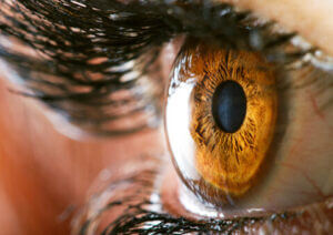 Close Up of eye with light reflecting off cornea