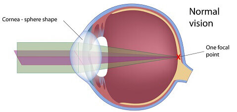 Normal Eye Illustration